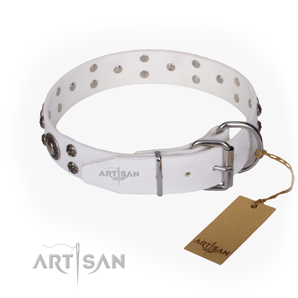 Stylish walking full grain genuine leather collar with studs for your doggie
