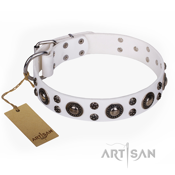 Incredible full grain natural leather dog collar for stylish walking