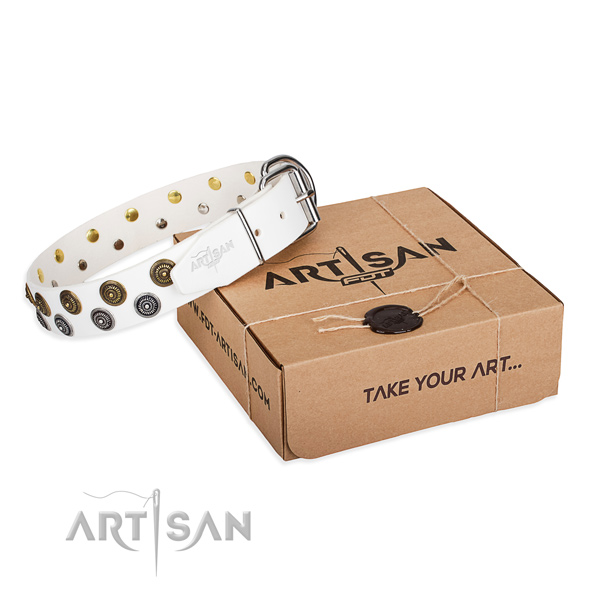 Adorned full grain leather dog collar for comfy wearing
