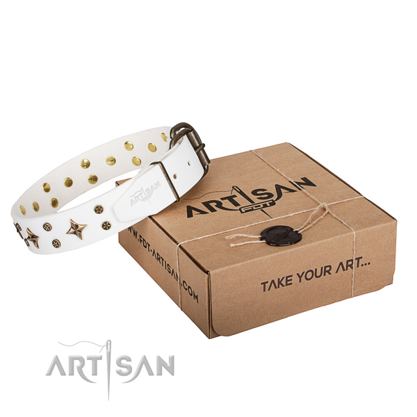 Adorned full grain leather dog collar for daily use