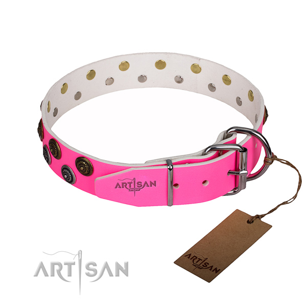 Everyday walking genuine leather collar with decorations for your canine