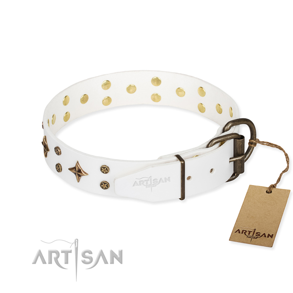 Stylish walking full grain leather collar with studs for your doggie