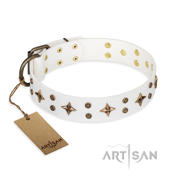 Awesome leather dog collar for daily use