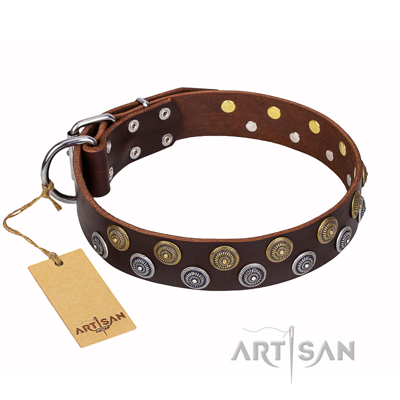 Walking genuine leather collar with decorations for your dog