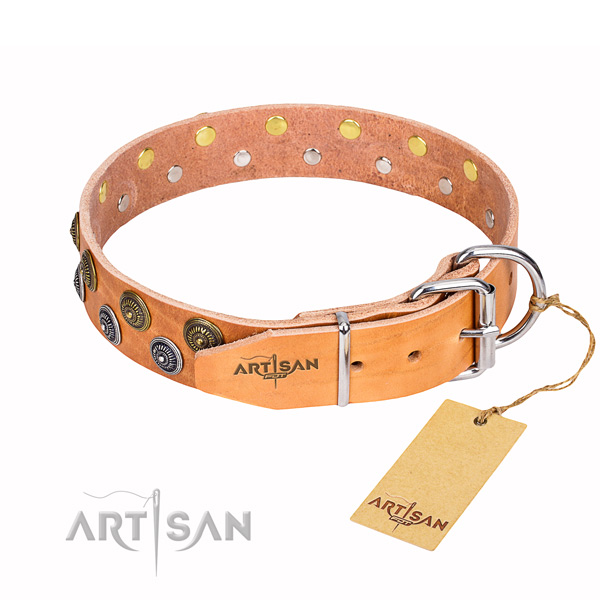 Walking genuine leather collar with decorations for your dog