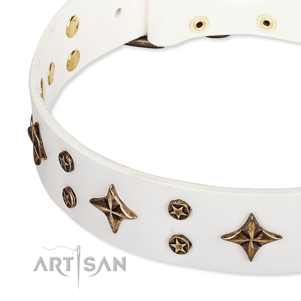 Full grain natural leather dog collar with trendy decorations