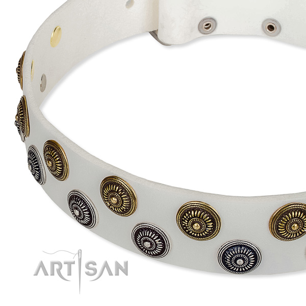 Full grain leather dog collar with awesome studs
