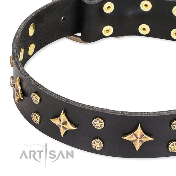 Full grain leather dog collar with stunning embellishments