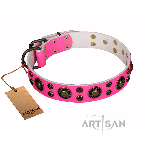 Daily walking full grain genuine leather collar with decorations for your dog
