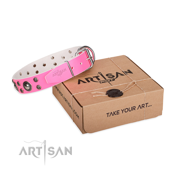 Fine quality full grain leather dog collar for walking