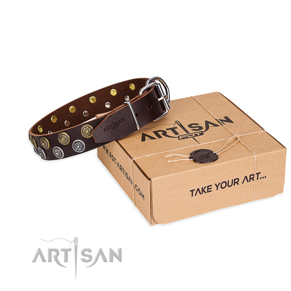 Leather dog collar with embellishments for stylish walking