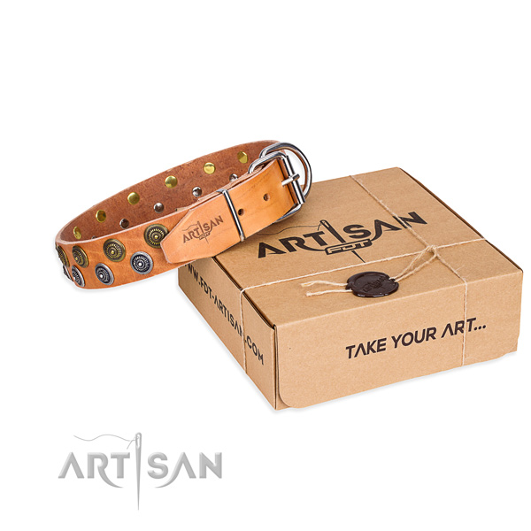 Leather dog collar with embellishments for stylish walking