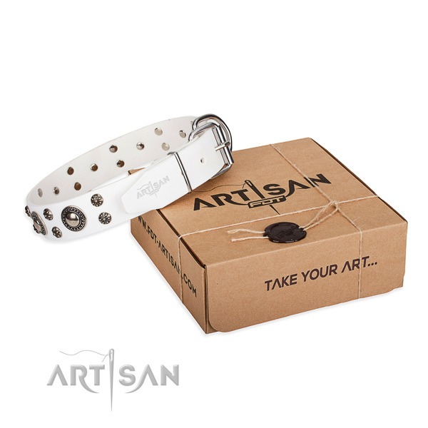 Designer genuine leather dog collar for daily use