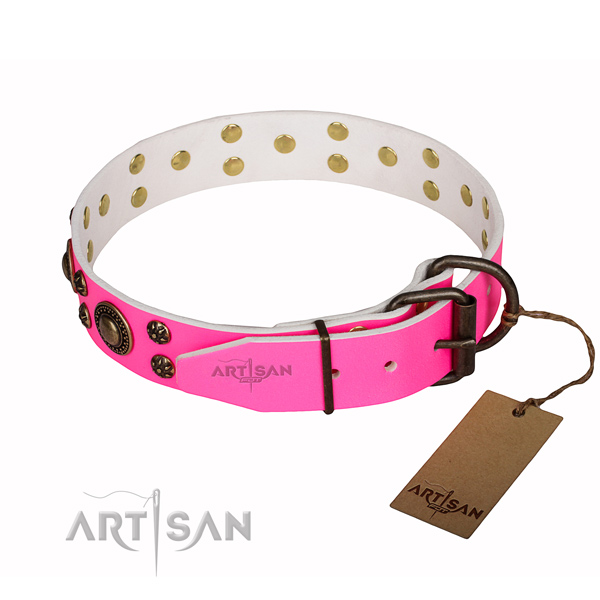Trendy full grain natural leather dog collar for daily use