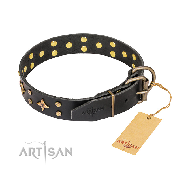 Daily walking genuine leather collar with studs for your four-legged friend