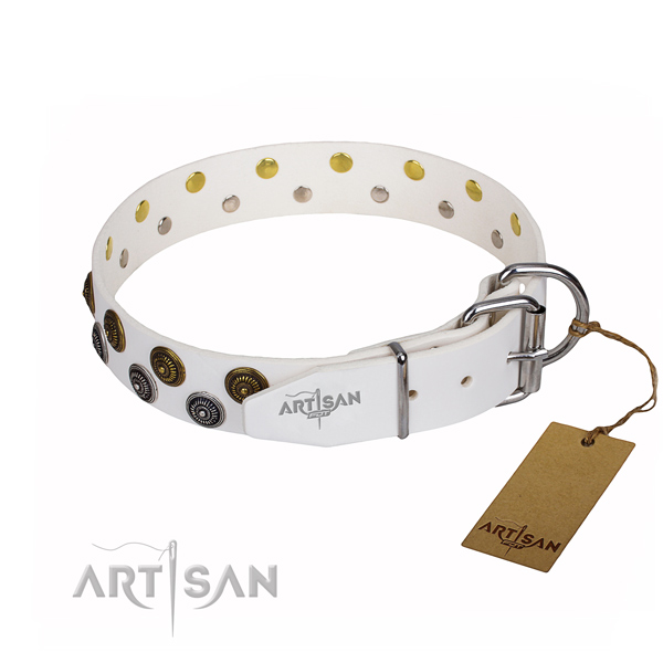 Daily walking leather collar with adornments for your four-legged friend
