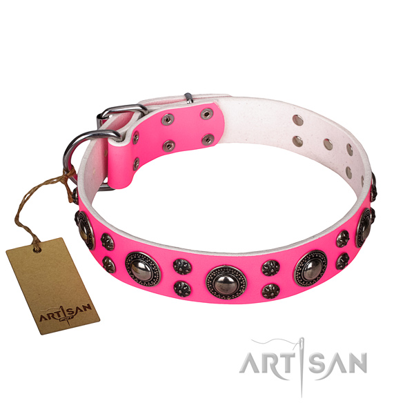 Top notch genuine leather dog collar for stylish walking