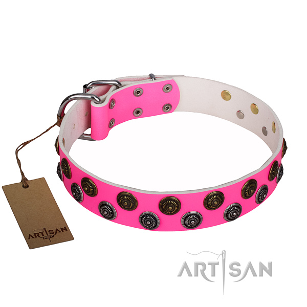 Top notch full grain genuine leather dog collar for handy use