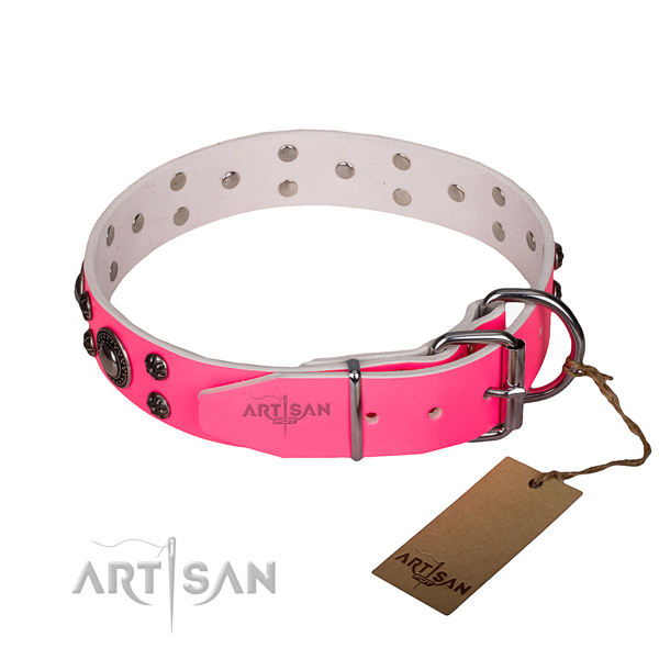 Everyday walking full grain genuine leather collar with corrosion proof buckle and D-ring