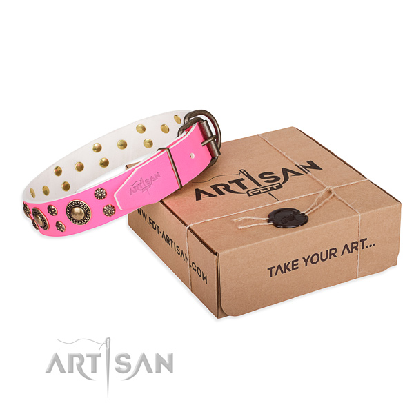 Full grain genuine leather dog collar with adornments for everyday use
