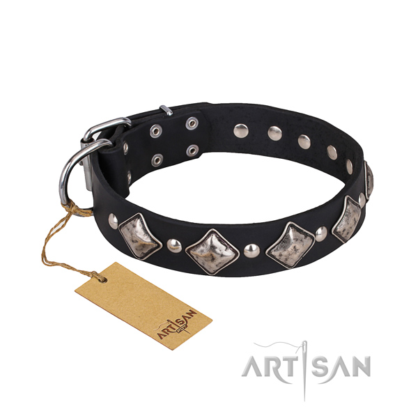 Durable leather dog collar with rust-resistant fittings