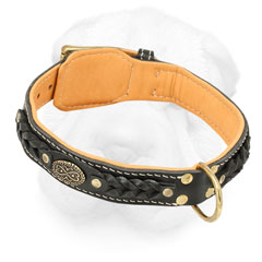 Shar-Pei Elegant Collar Decorated with Braid