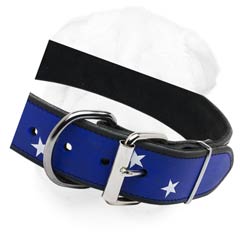 Hand painted with stars and stripes leather buckle collar for Shar Pei