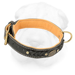 Shar-Pei Handmade Collar with Nappa Padding