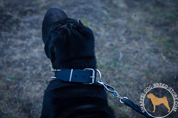 Adorned leather Shar Pei collar with nickel plated hardware