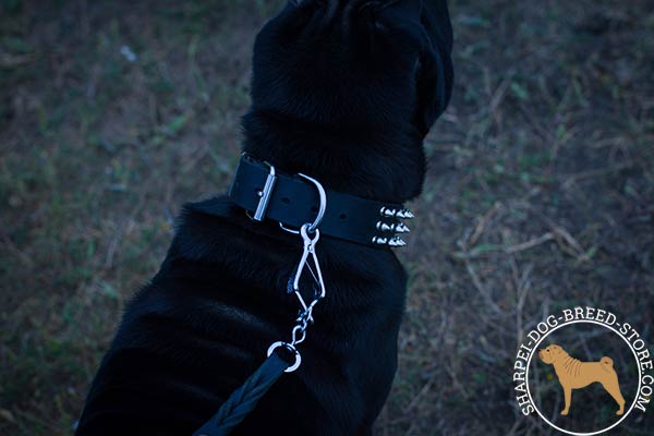 Durable leather Shar Pei collar with rust-proof hardware