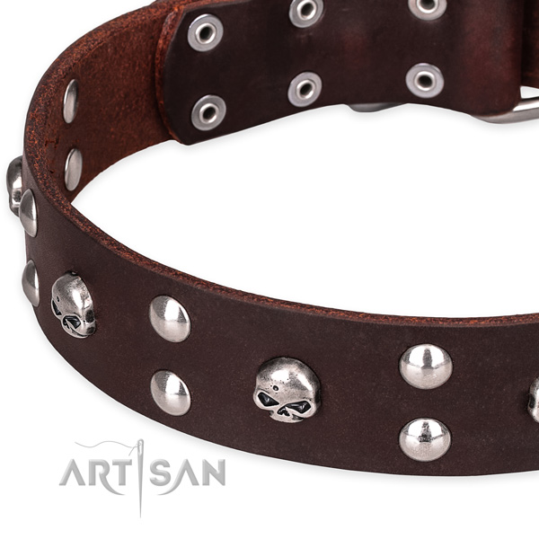 Daily leather dog collar with elegant adornments