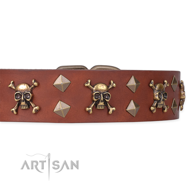 Top notch leather dog collar for walking