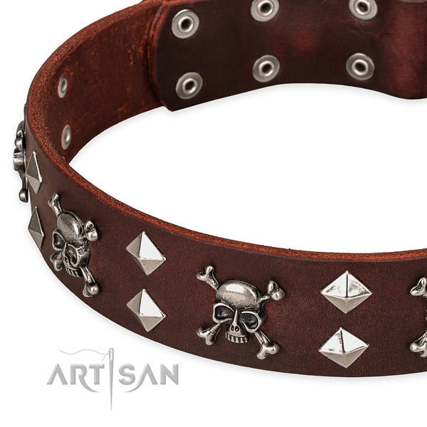 Full grain leather dog collar for reliable use