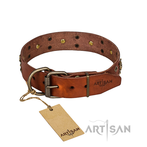 Dependable leather dog collar with durable elements