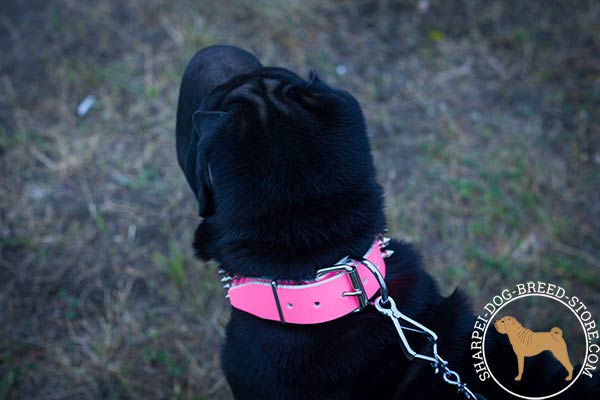 Trendy leather dog collar for Shar Pei with classical buckle