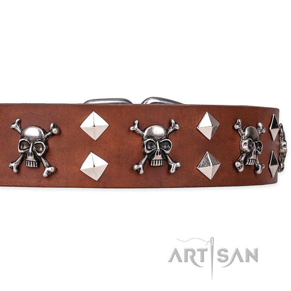 Long-wearing leather dog collar with brass plated hardware