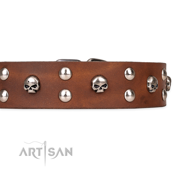 Full grain genuine leather dog collar with smooth leather strap