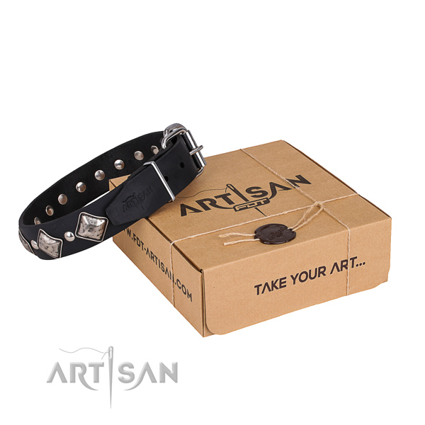 Casual leather dog collar with amazing adornments