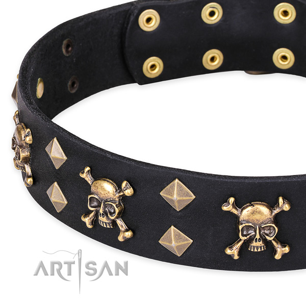 Casual leather dog collar with exciting embellishments