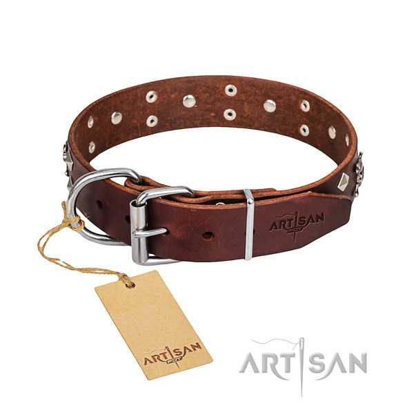 Casual style leather dog collar with extraordinary embellishments