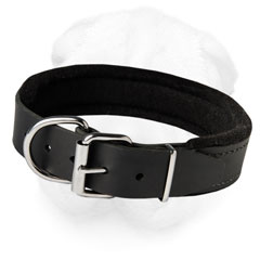 Shar-Pei Leather Collar Padded