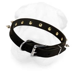 Fine Shaped Strong Leather Collar with Spikes for Shar Pei