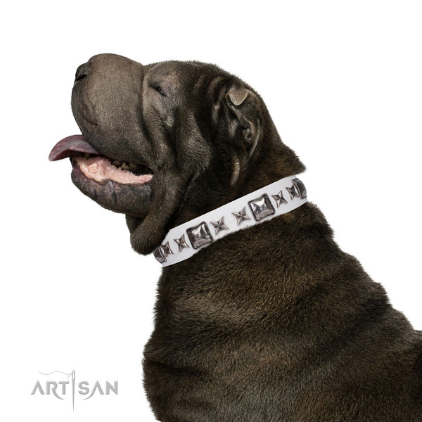 Amazing studded natural leather dog collar for daily walking