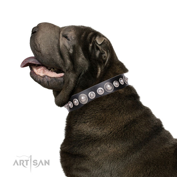 Top notch adorned natural leather dog collar for stylish walking