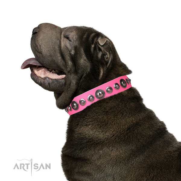 Stylish adorned genuine leather dog collar for everyday use