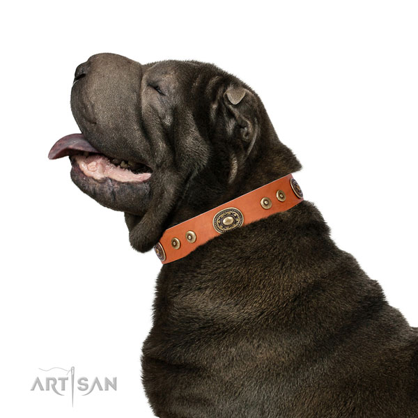 Incredible embellished genuine leather dog collar for everyday walking