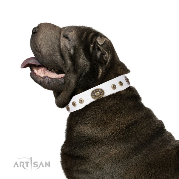 Stylish design embellished natural leather dog collar for stylish walking