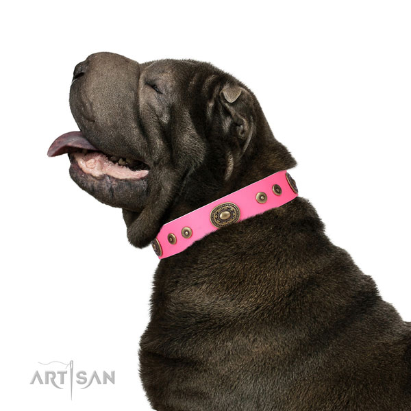 Trendy studded leather dog collar for comfy wearing