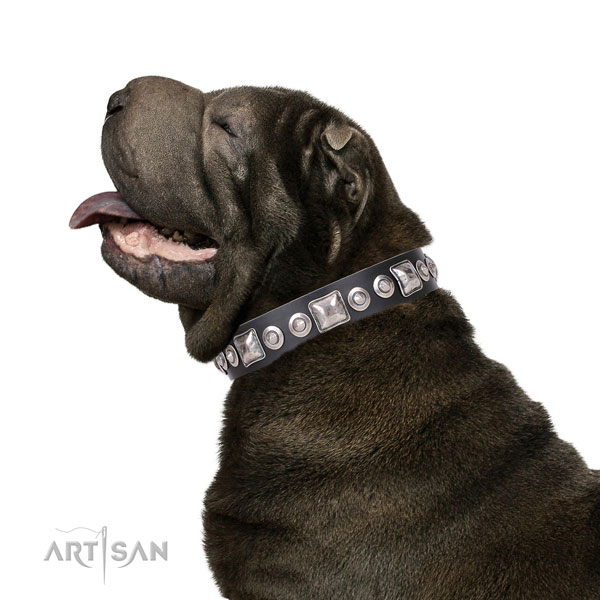 Designer embellished genuine leather dog collar for comfy wearing