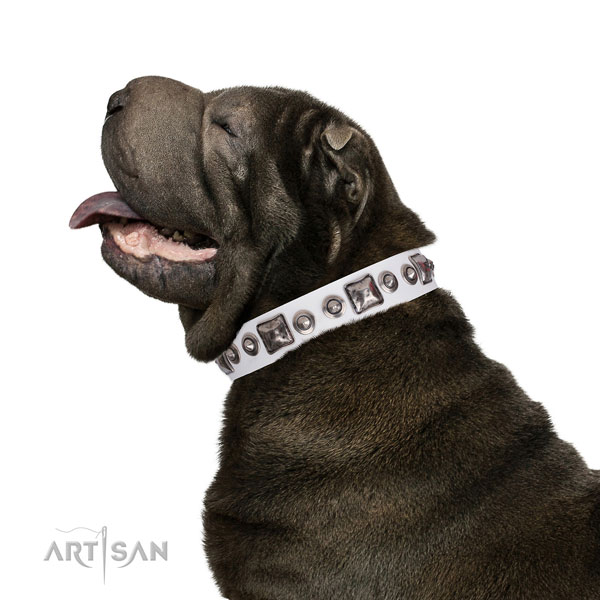 Stylish embellished leather dog collar for comfortable wearing